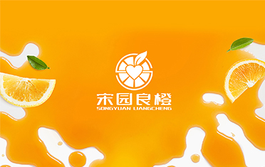 某良橙——镇江LOGO设计